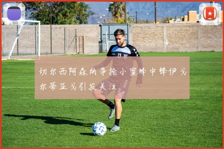 切尔西阿森纳争抢小蜜蜂中锋伊戈尔蒂亚戈引发关注